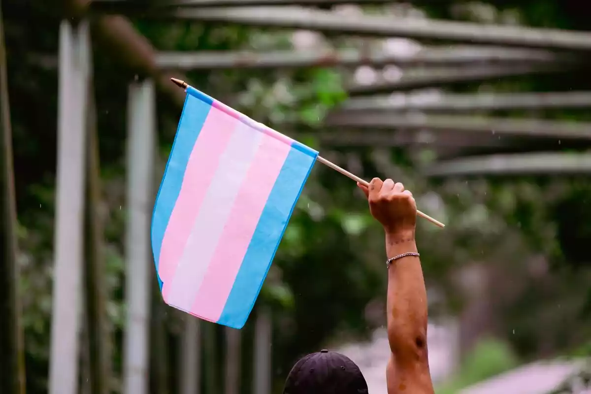 Bandera del colectivo transexual levantada por la mano de una persona en el aire