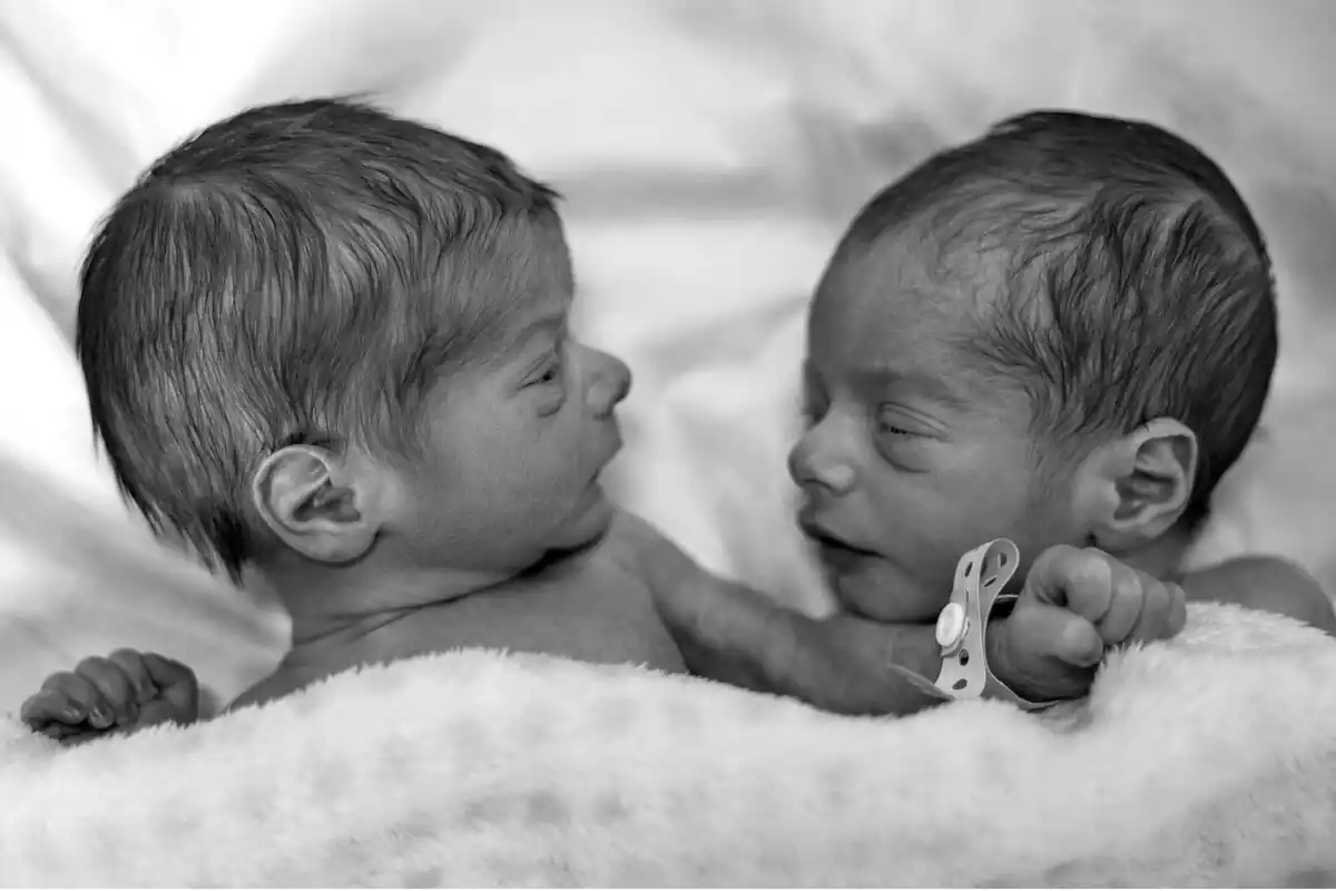 Dos bebés gemelos recién nacidos