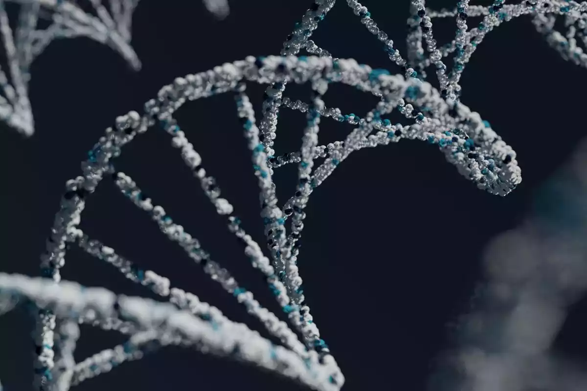 Esquema genético del ADN humano